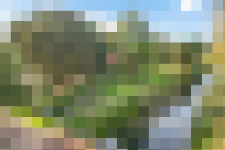 Zuiderdiep 498 Valthermond thumbnail 54