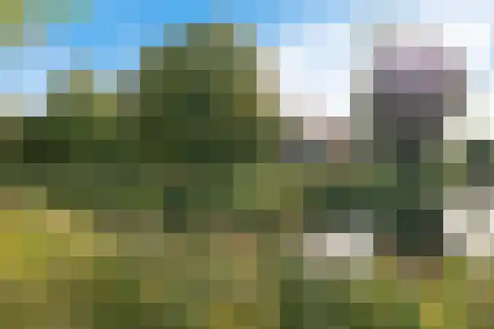 Zuiderdiep 498 Valthermond thumbnail 55