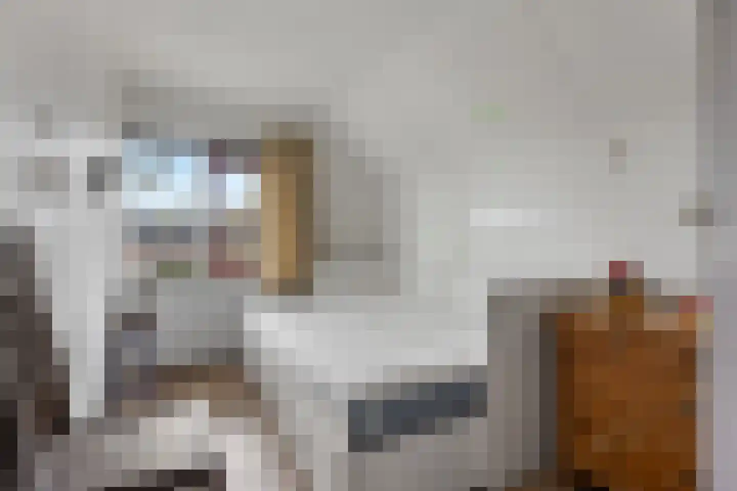 Zuiderdiep 5 Nieuw-Buinen thumbnail 22