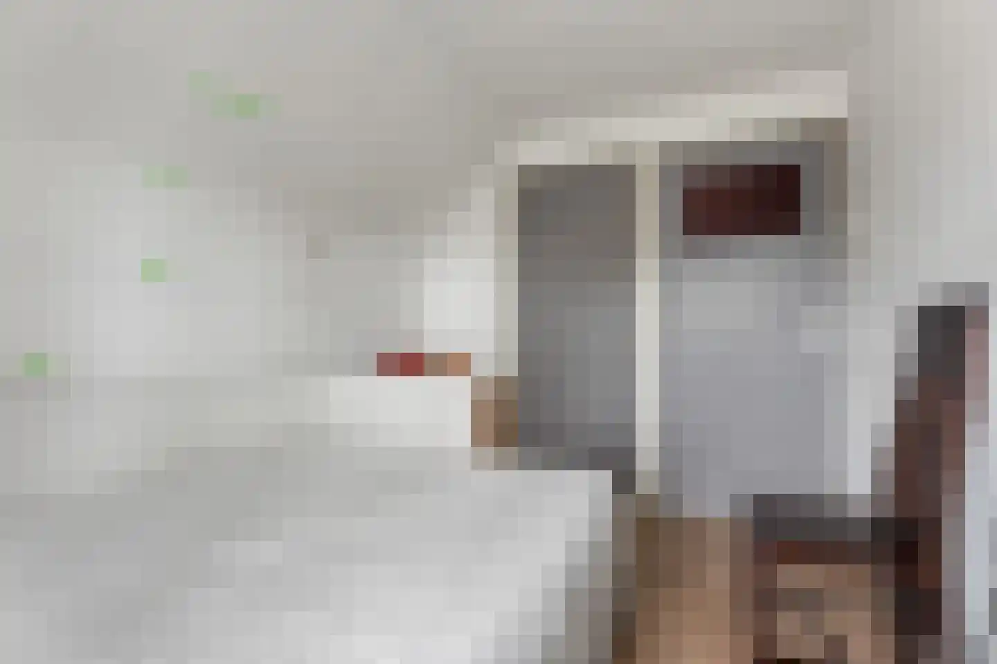 Zuiderdiep 5 Nieuw-Buinen thumbnail 23