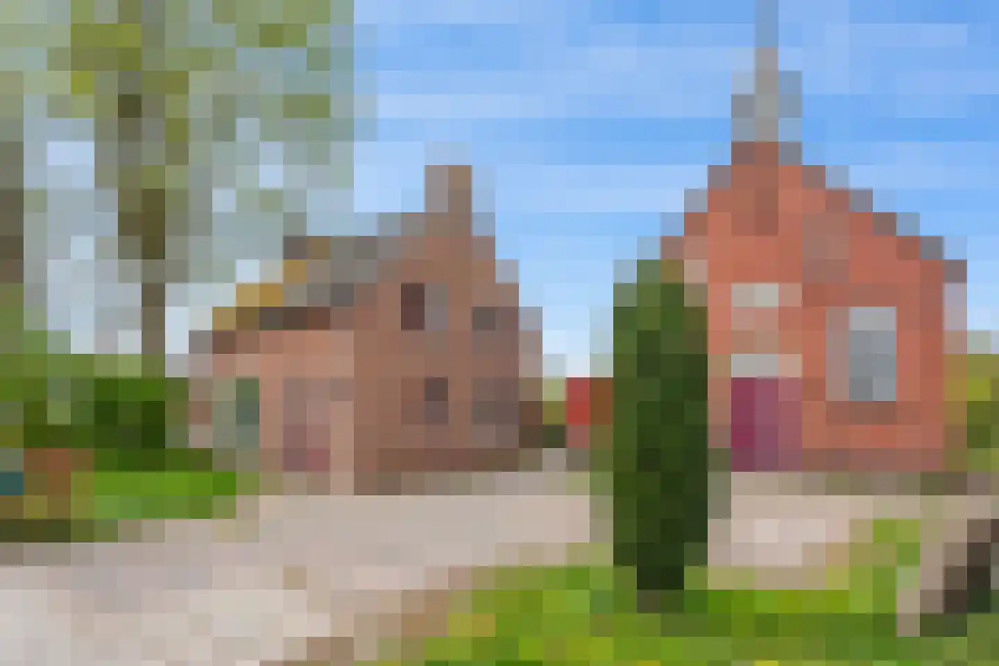Zuiderdiep 5 Nieuw-Buinen thumbnail 24
