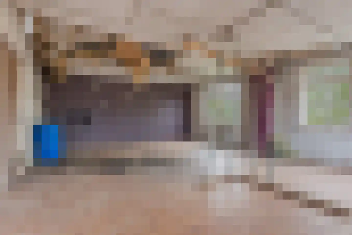 Zuiderdiep 5 Nieuw-Buinen thumbnail 29