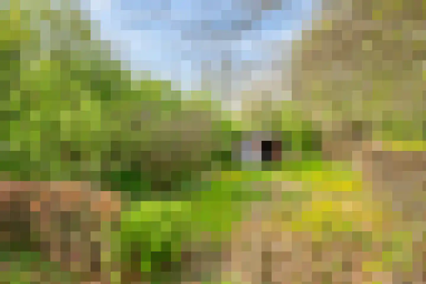 Zuiderdiep 5 Nieuw-Buinen thumbnail 34