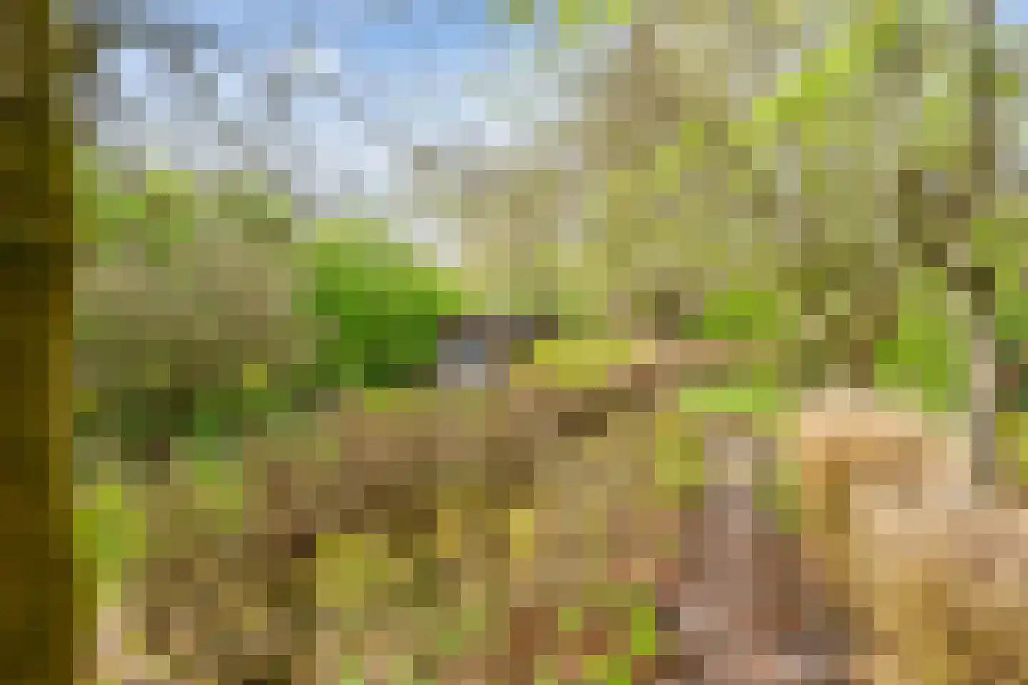 Zuiderdiep 5 Nieuw-Buinen thumbnail 35