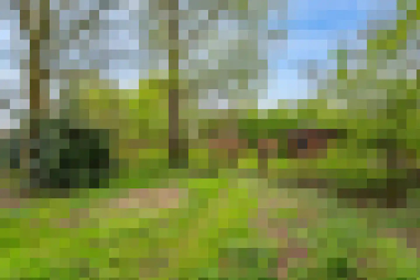 Zuiderdiep 5 Nieuw-Buinen thumbnail 36