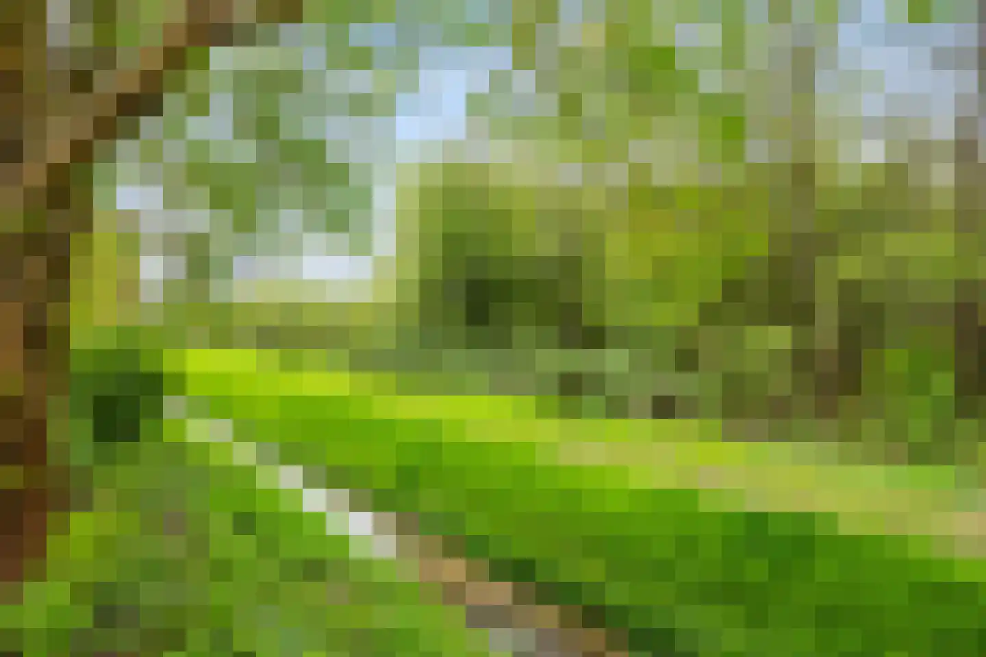 Zuiderdiep 5 Nieuw-Buinen thumbnail 37