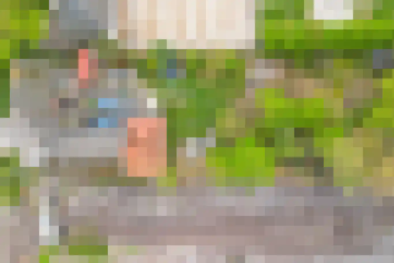 Zuiderdiep 5 Nieuw-Buinen thumbnail 38