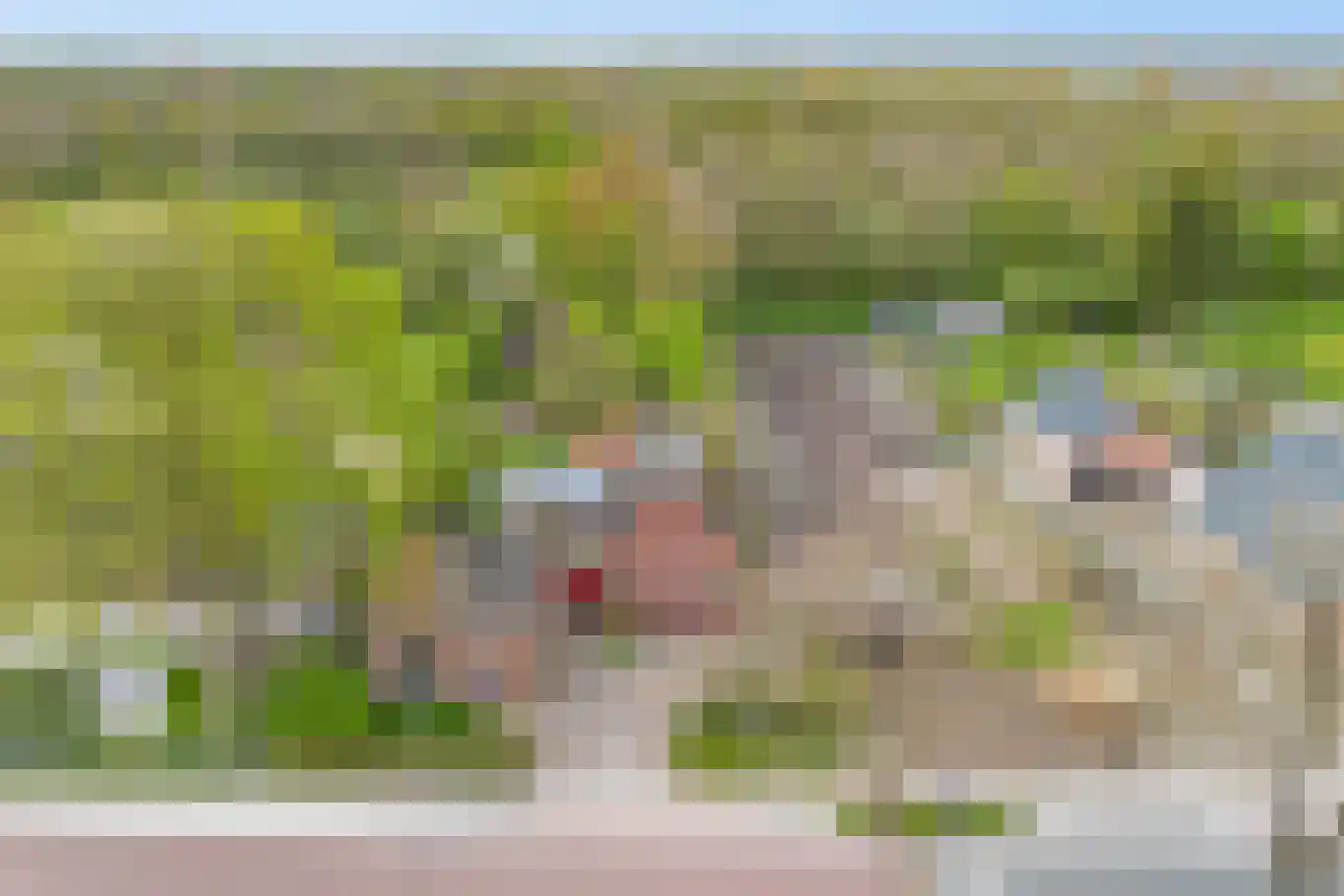 Zuiderdiep 5 Nieuw-Buinen thumbnail 39