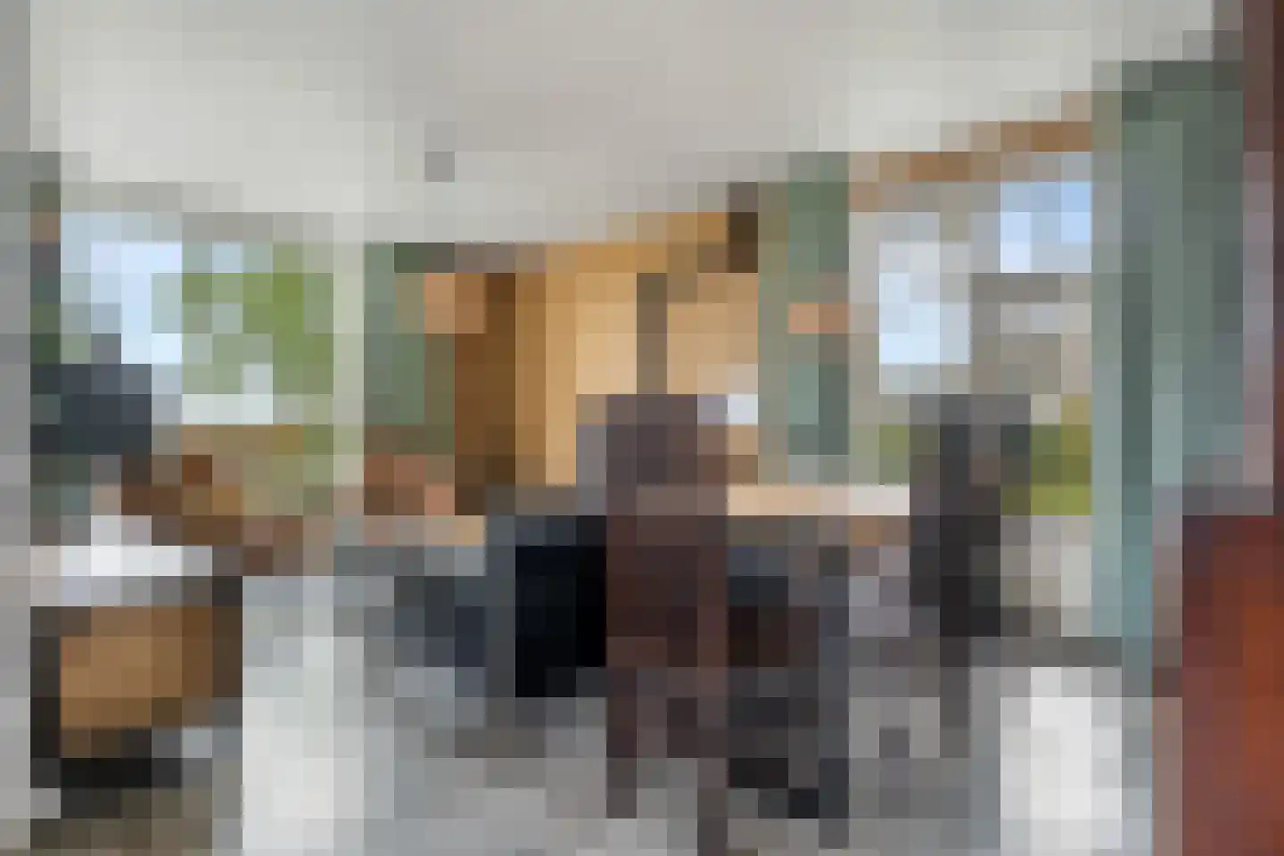 Zuiderdiep 5 Nieuw-Buinen thumbnail 7