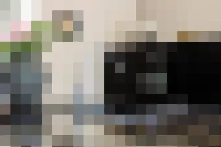 Zuiderdiep 506 Valthermond thumbnail 18