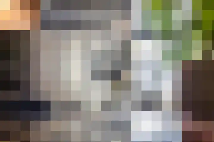 Zuiderdiep 506 Valthermond thumbnail 20