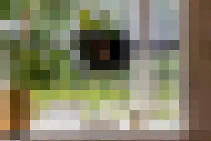 Zuiderdiep 506 Valthermond thumbnail 23