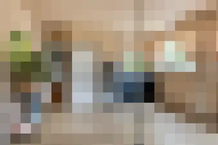 Zuiderdiep 506 Valthermond thumbnail 25