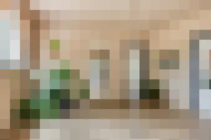 Zuiderdiep 506 Valthermond thumbnail 26