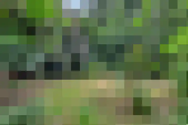Zuiderdiep 506 Valthermond thumbnail 45