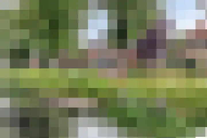 Zuiderdiep 506 Valthermond thumbnail 46