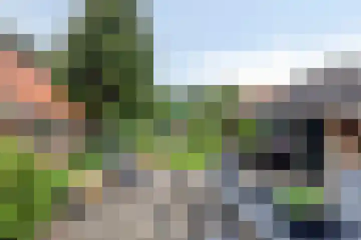 Zuiderdiep 506 Valthermond thumbnail 47