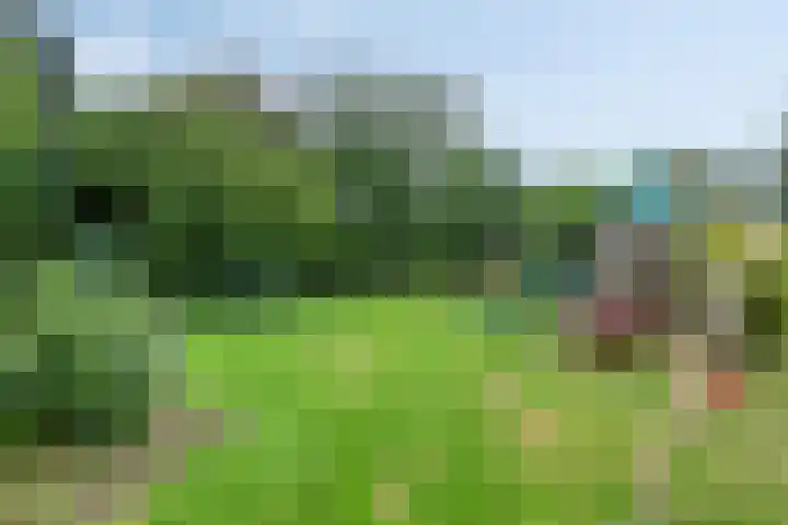 Zuiderdiep 506 Valthermond thumbnail 48