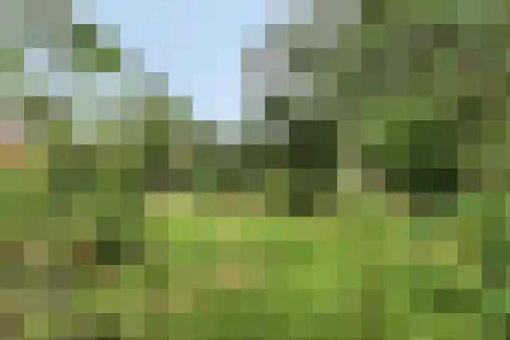 Zuiderdiep 506 Valthermond thumbnail 49