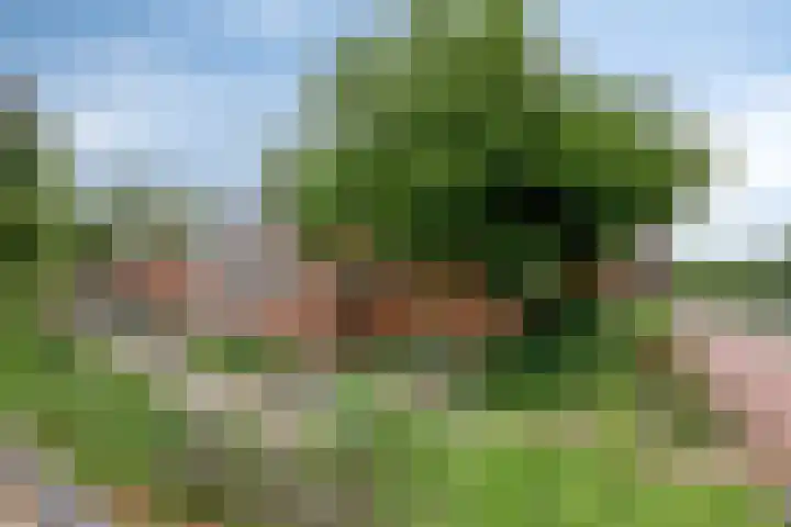 Zuiderdiep 506 Valthermond thumbnail 51