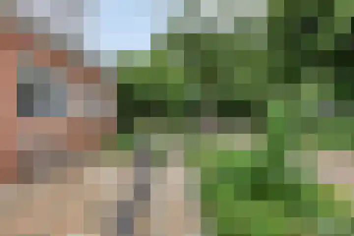 Zuiderdiep 506 Valthermond thumbnail 52