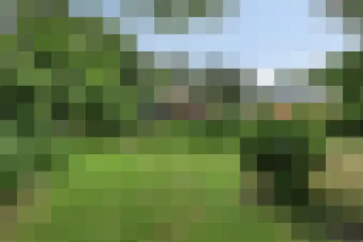 Zuiderdiep 506 Valthermond thumbnail 53