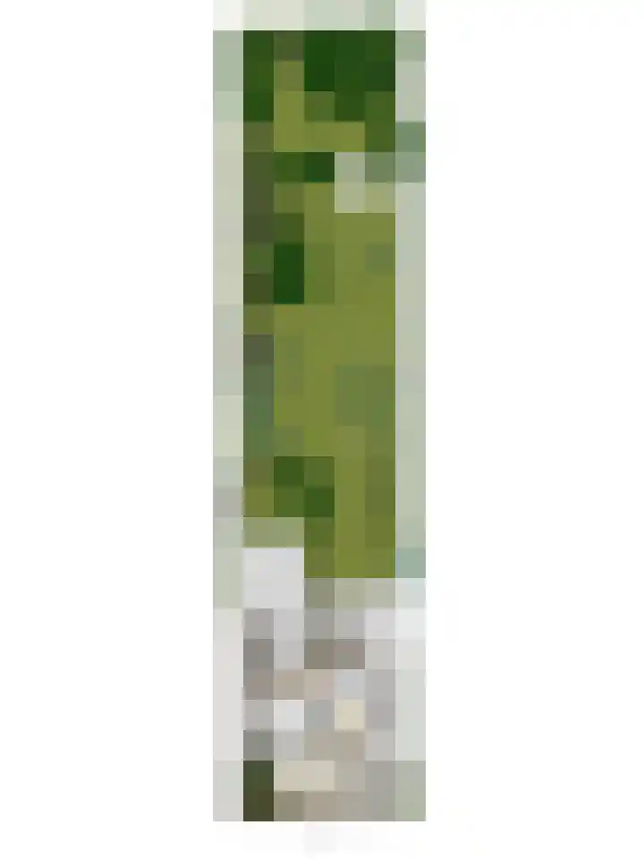 Zuiderdiep 506 Valthermond thumbnail 57