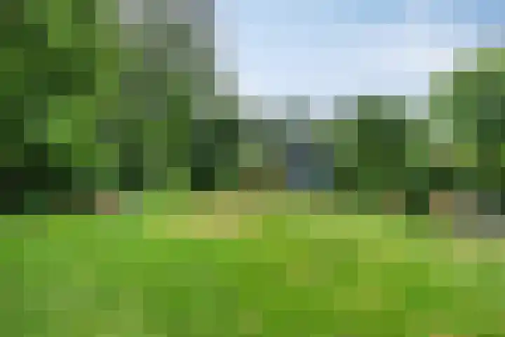 Zuiderdiep 506 Valthermond thumbnail 8