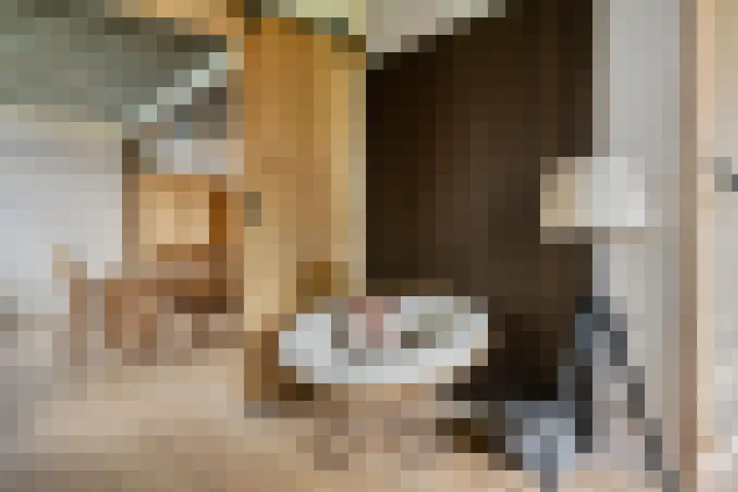 Zuiderdiep 514 Valthermond thumbnail 10