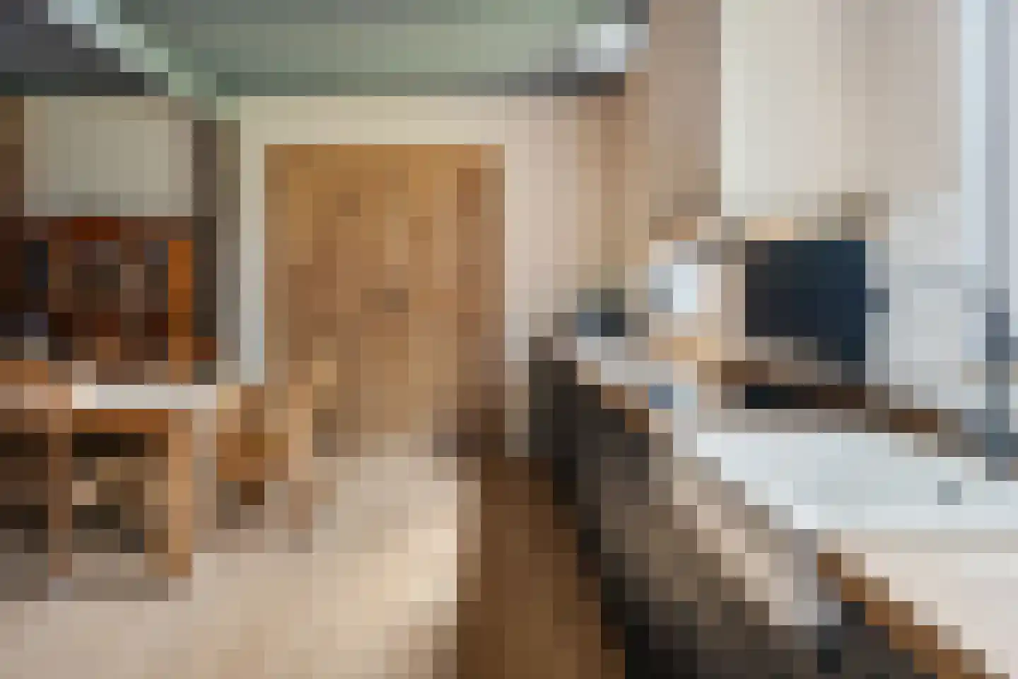 Zuiderdiep 514 Valthermond thumbnail 13