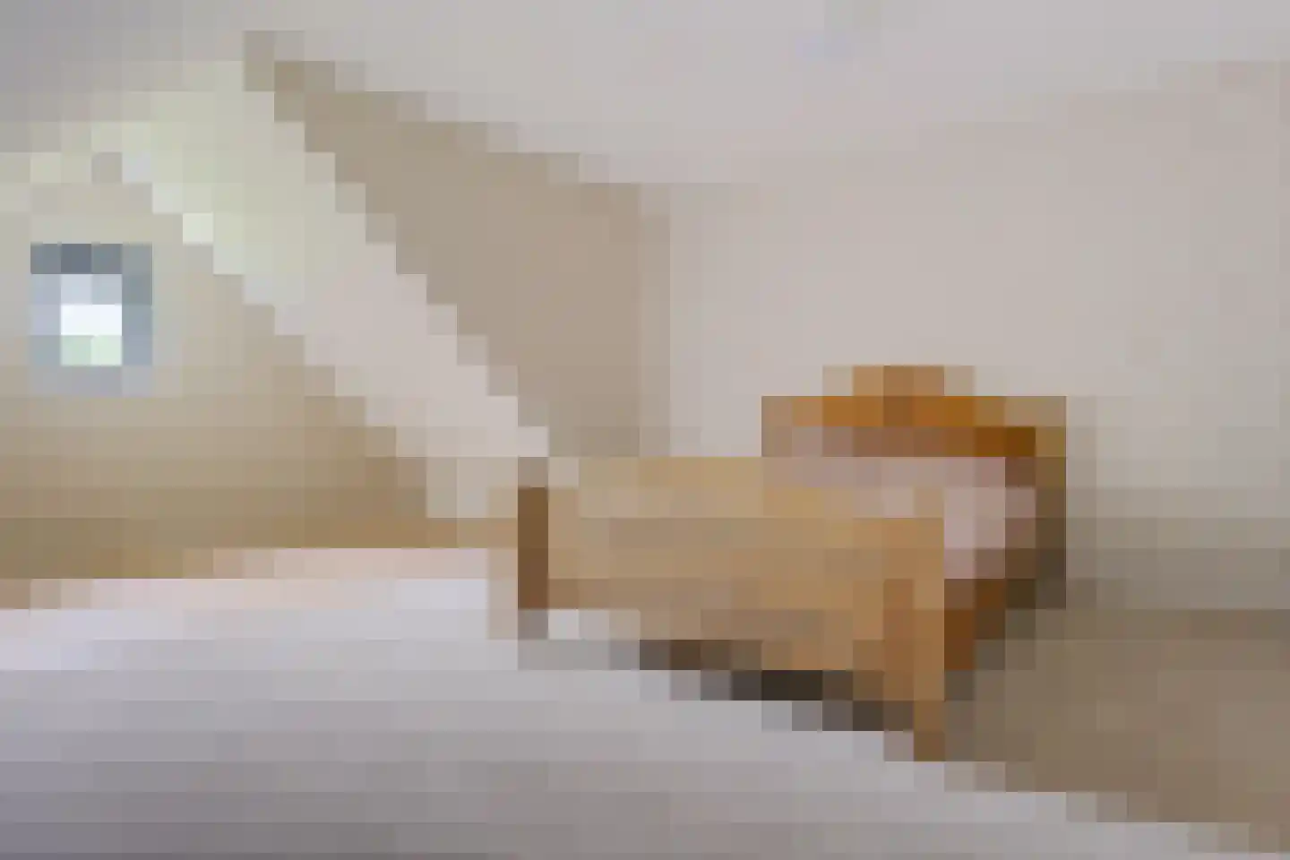 Zuiderdiep 514 Valthermond thumbnail 23