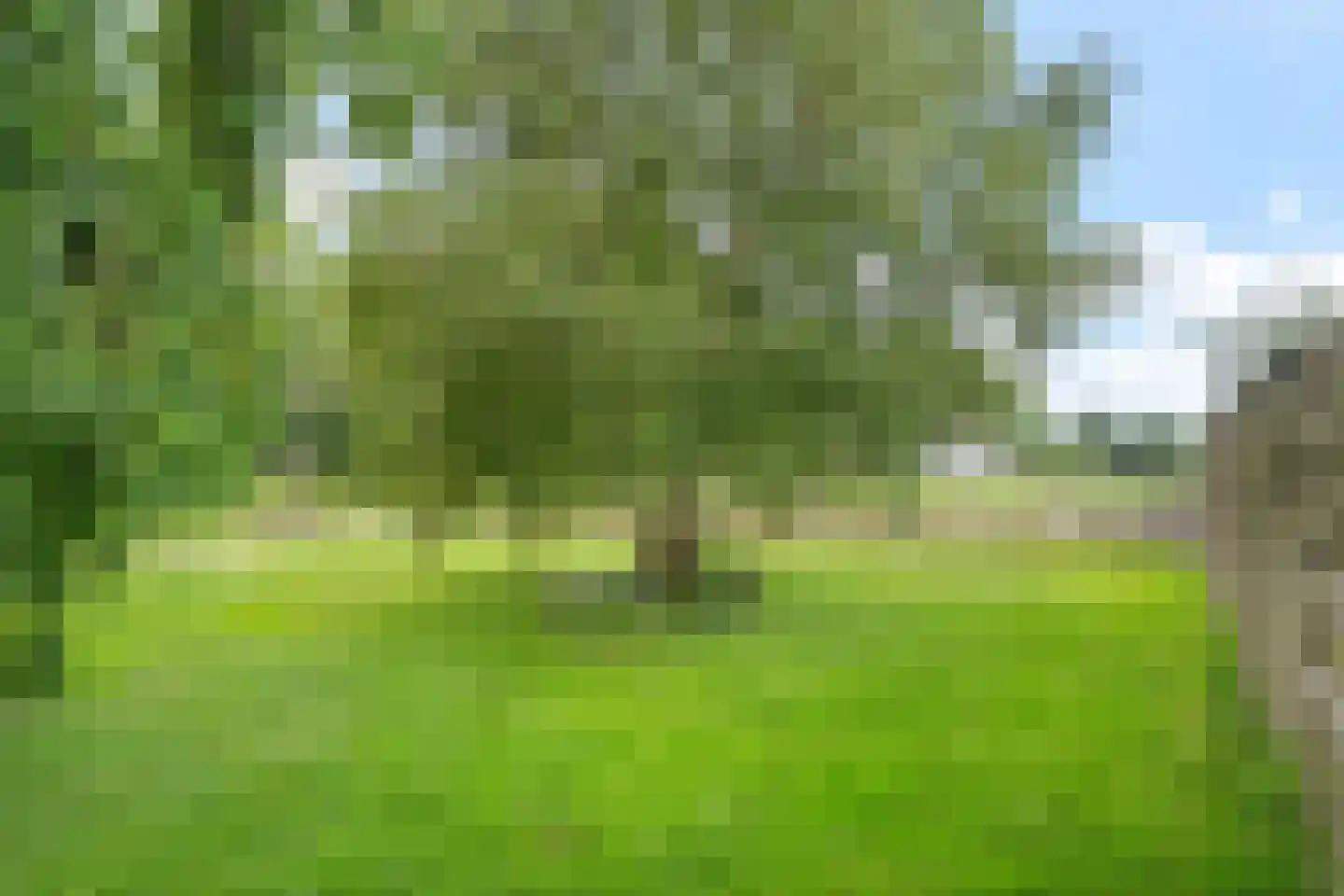 Zuiderdiep 514 Valthermond thumbnail 38