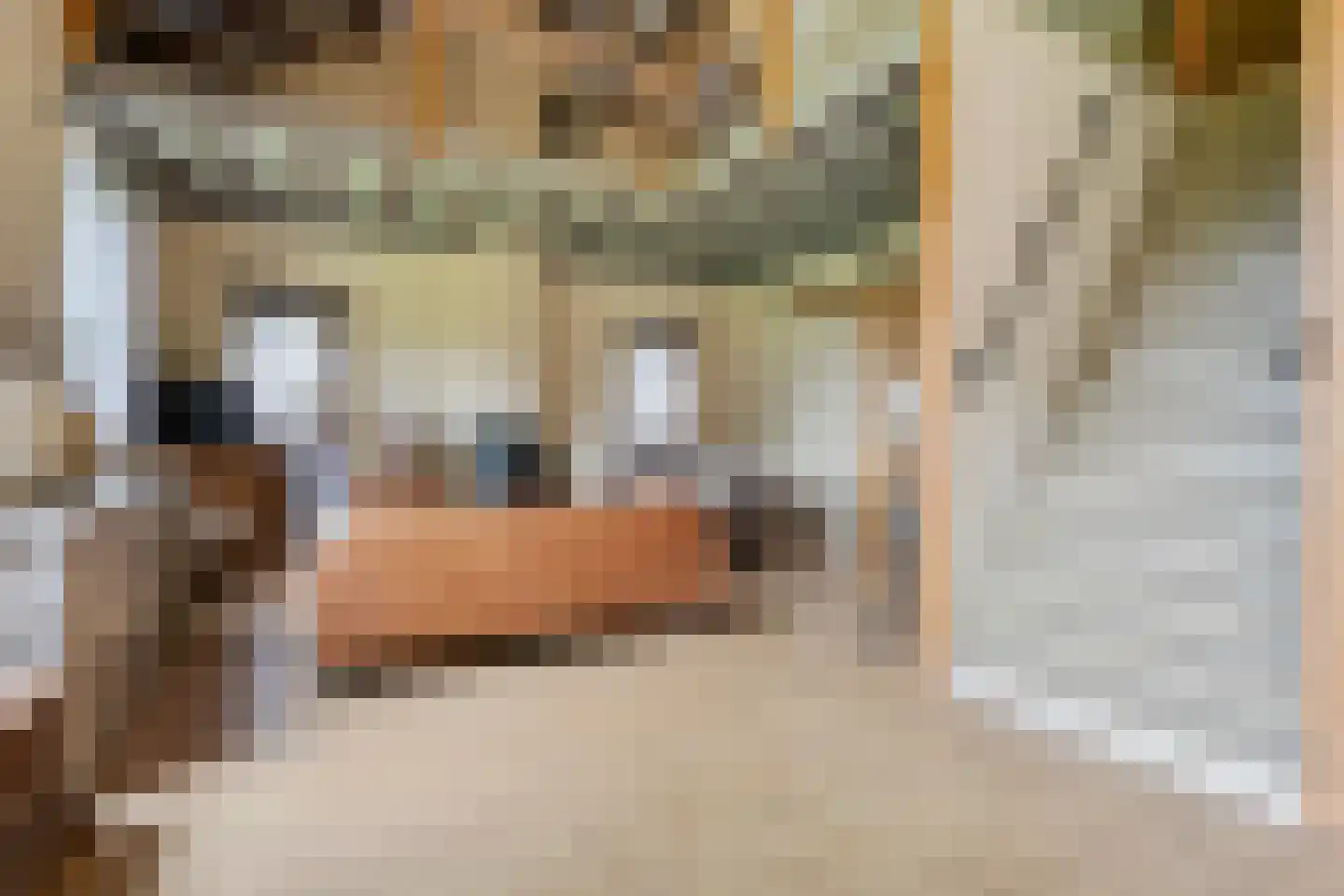 Zuiderdiep 514 Valthermond thumbnail 4