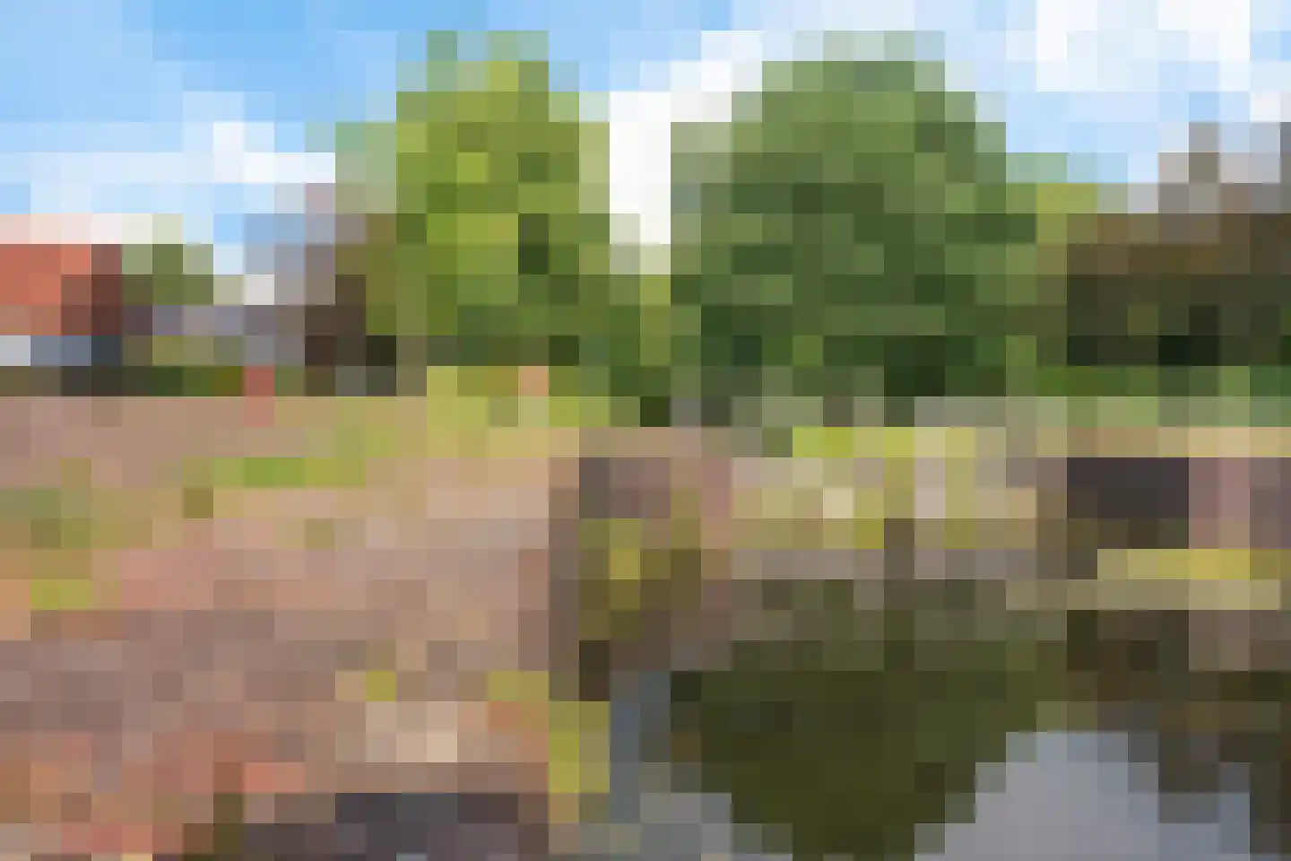 Zuiderdiep 514 Valthermond thumbnail 42
