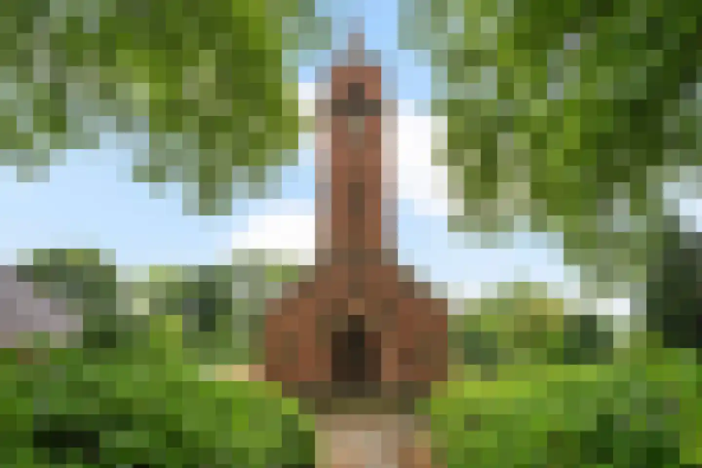 Zuiderdiep 514 Valthermond thumbnail 45