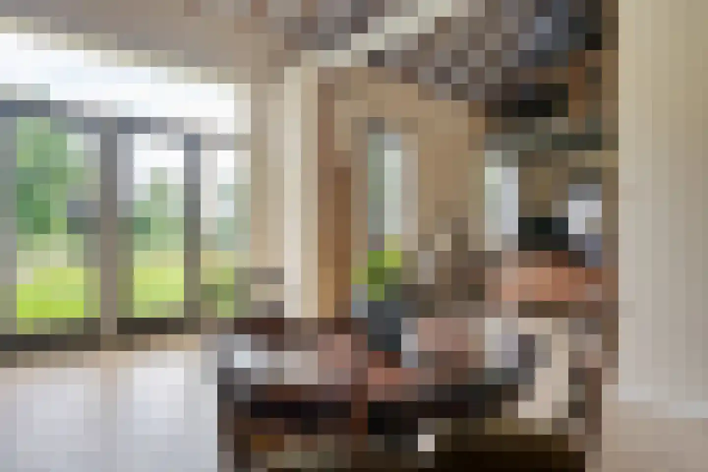 Zuiderdiep 514 Valthermond thumbnail 5