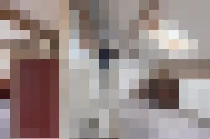 Zuiderdiep 516 Valthermond thumbnail 13