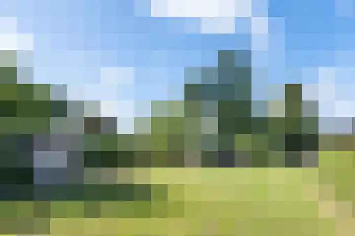 Zuiderdiep 516 Valthermond thumbnail 23