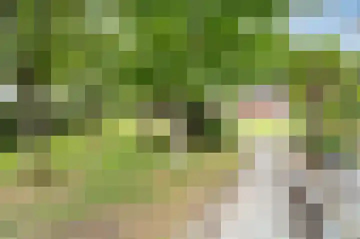 Zuiderdiep 516 Valthermond thumbnail 25