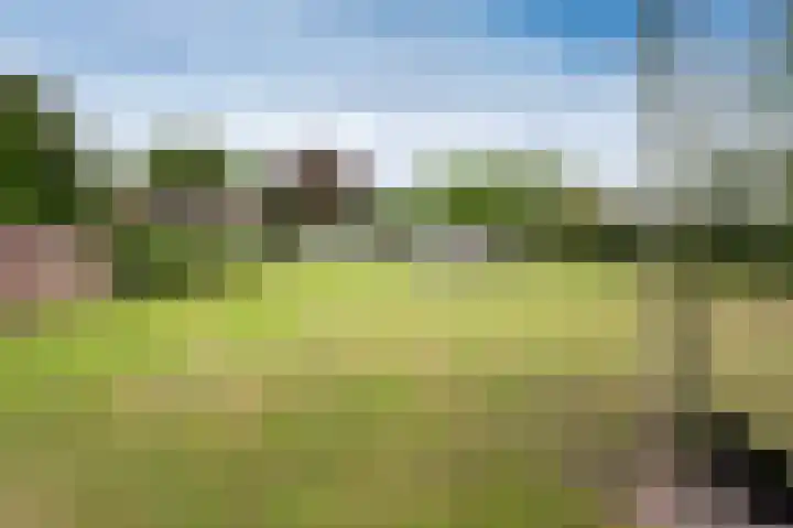 Zuiderdiep 516 Valthermond thumbnail 26