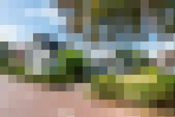 Zuiderdiep 516 Valthermond thumbnail 28