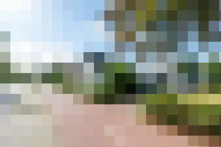 Zuiderdiep 516 Valthermond thumbnail 29
