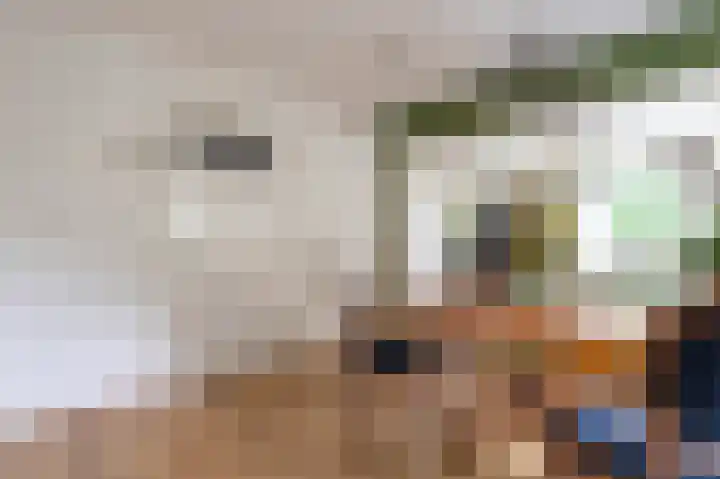 Zuiderdiep 516 Valthermond thumbnail 6