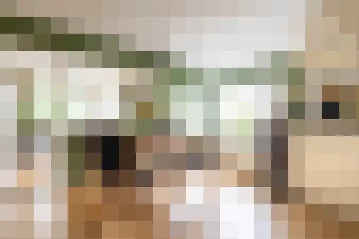 Zuiderdiep 516 Valthermond thumbnail 7
