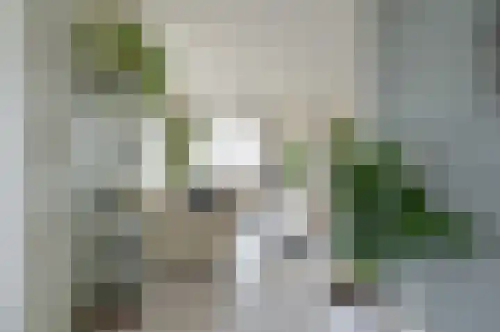 Zuiderdiep 53 2e Exloërmond thumbnail 15