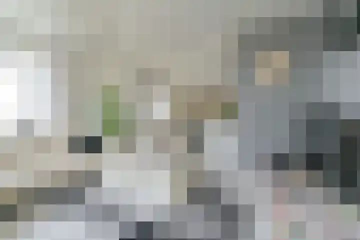 Zuiderdiep 53 2e Exloërmond thumbnail 17