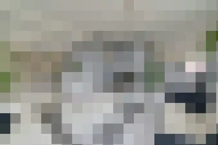 Zuiderdiep 53 2e Exloërmond thumbnail 19