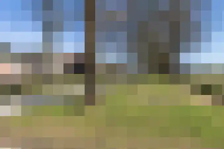 Zuiderdiep 53 2e Exloërmond thumbnail 5