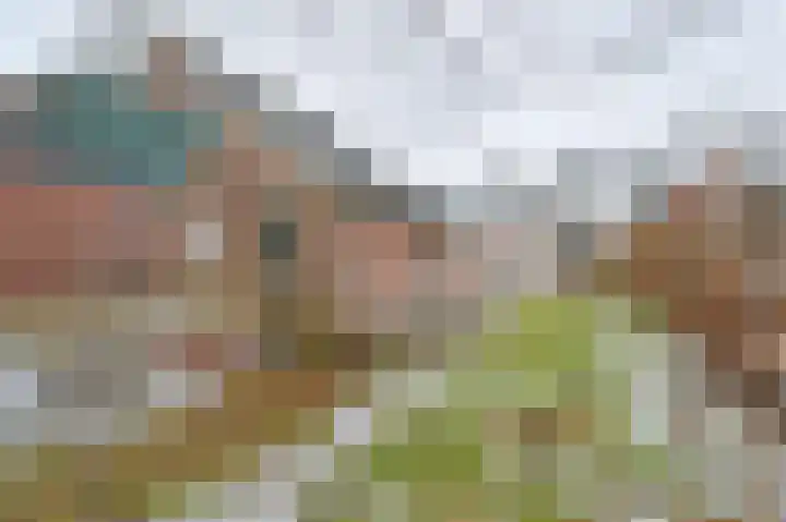 Zuiderdiep 53 2e Exloërmond thumbnail 55