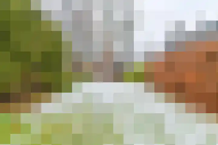 Zuiderdiep 53 2e Exloërmond thumbnail 56